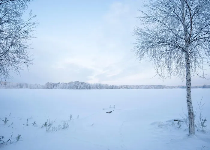 Siltasaari * Sotkamo